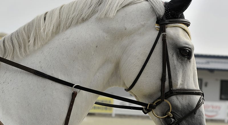 Horse Racing and Fancy Hats at the Victoria Derby